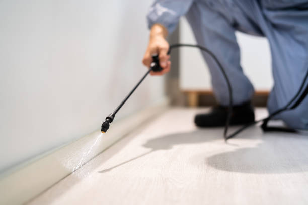 Bed Bug Pre-Treatment Preparation Assessment in Abram