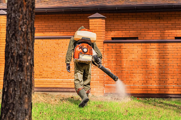 Bed Bug Clearance Verification and Documentation in Abram